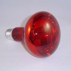 Infrarood lamp R95                                          